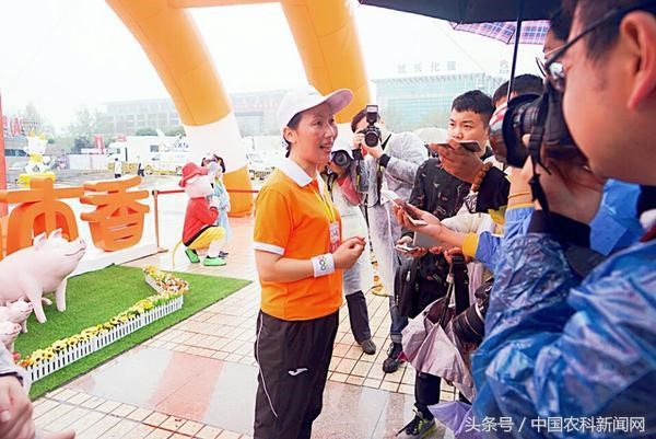 港澳宝奥苹果手机