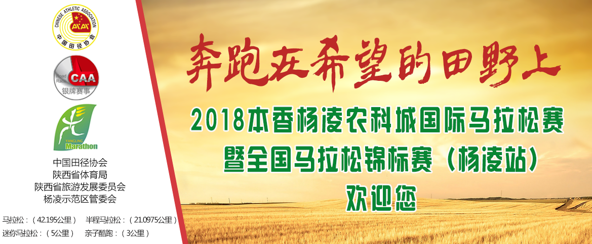 港澳宝奥苹果手机