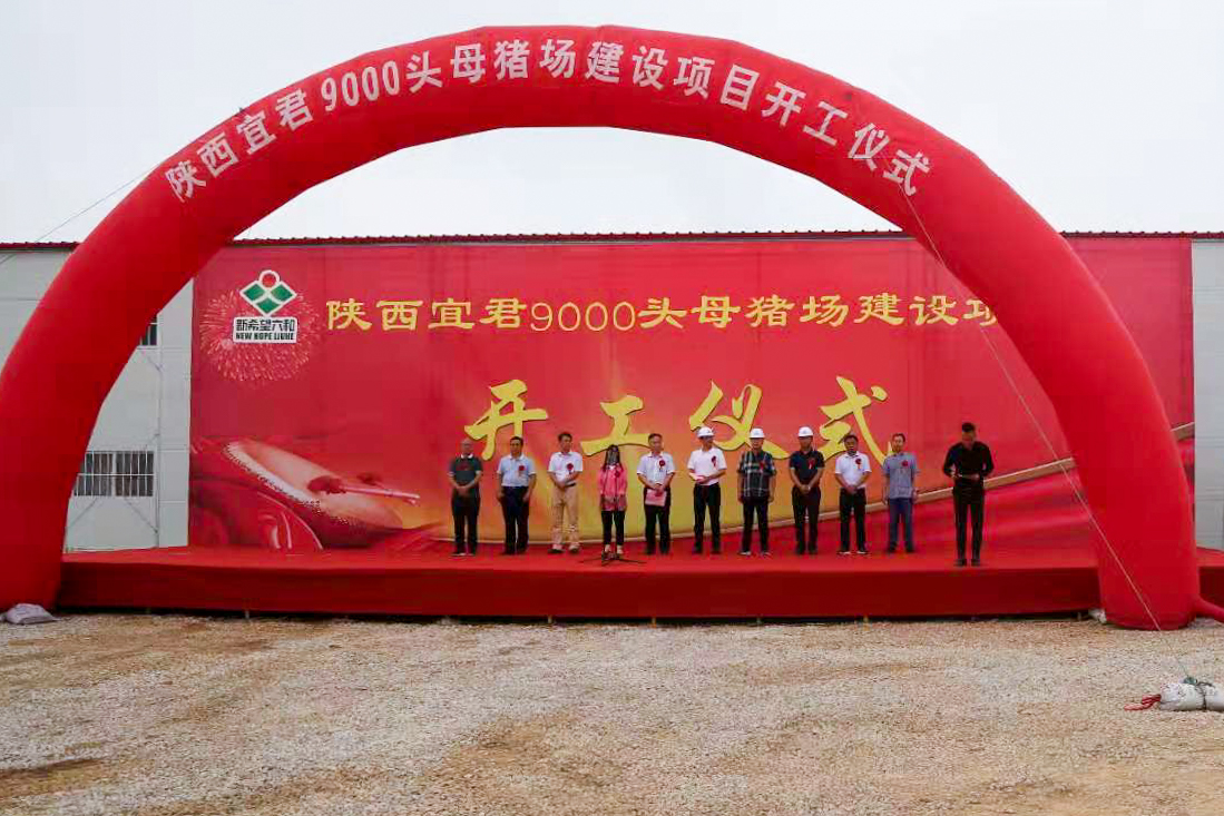 港澳宝奥苹果手机