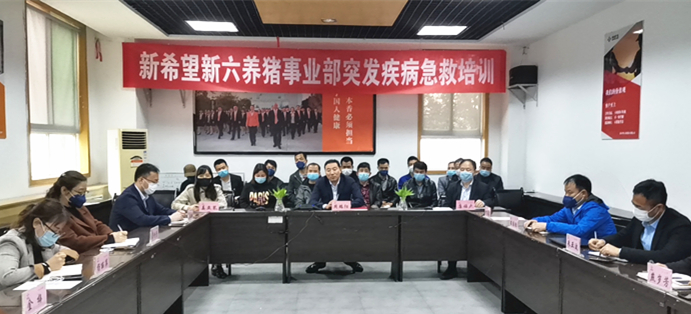 港澳宝奥苹果手机