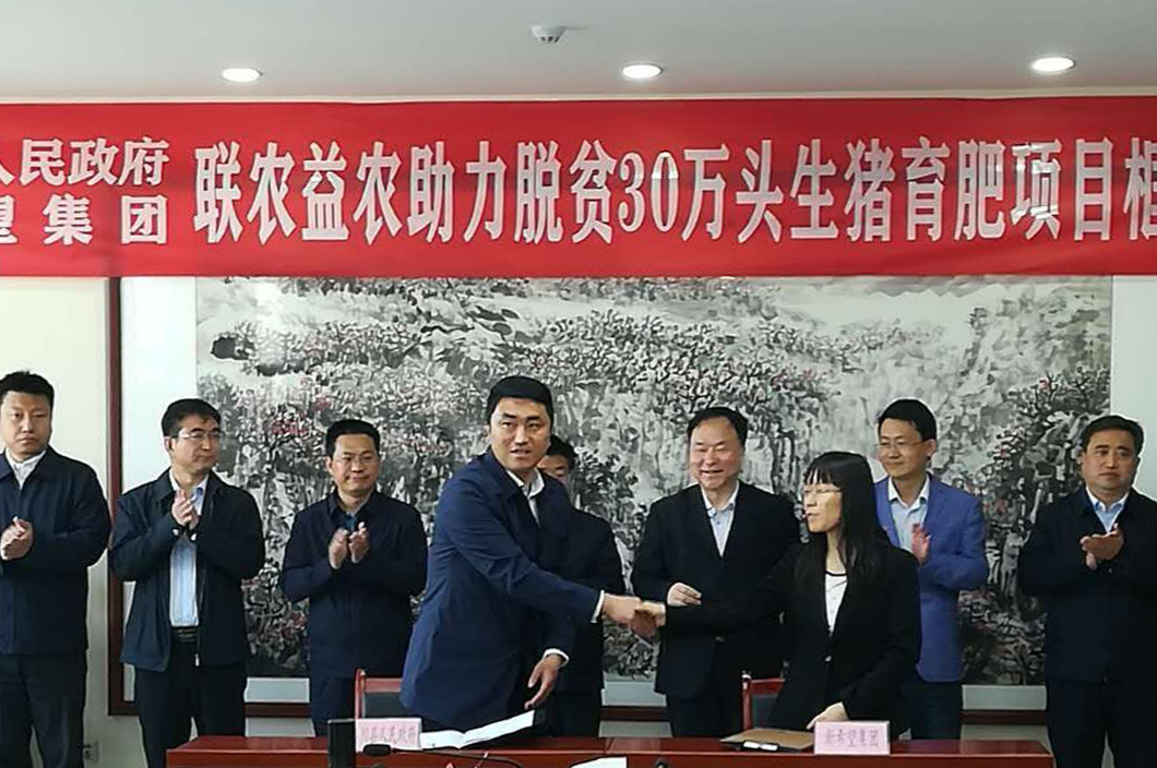 港澳宝奥苹果手机