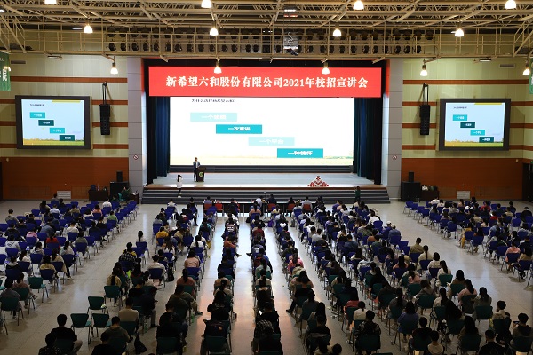 港澳宝奥苹果手机