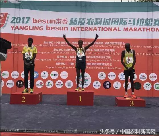 港澳宝奥苹果手机