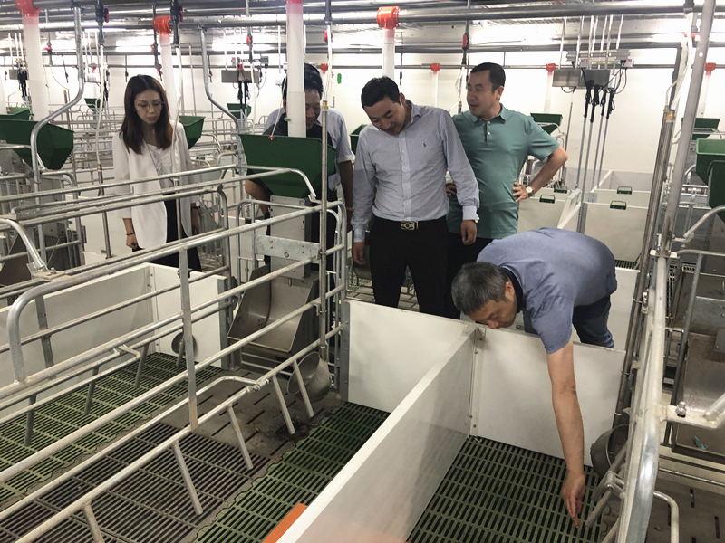 港澳宝奥苹果手机