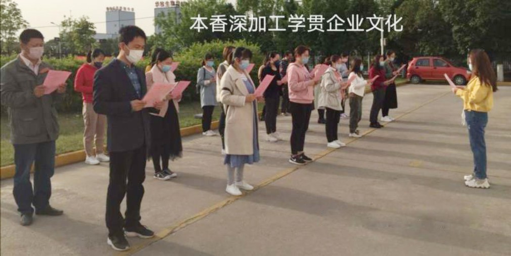 港澳宝奥苹果手机