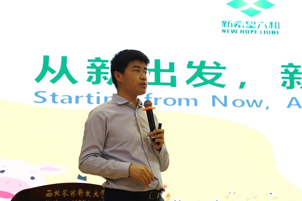 港澳宝奥苹果手机